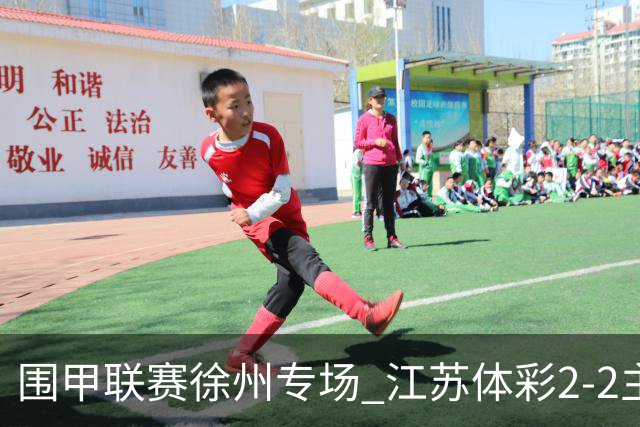 围甲联赛徐州专场 江苏体彩2-2主将负重庆坎济